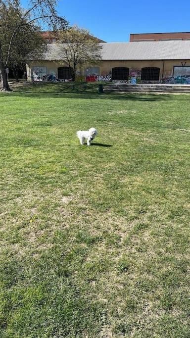 Appartamento Ca' Fola Alba Εξωτερικό φωτογραφία